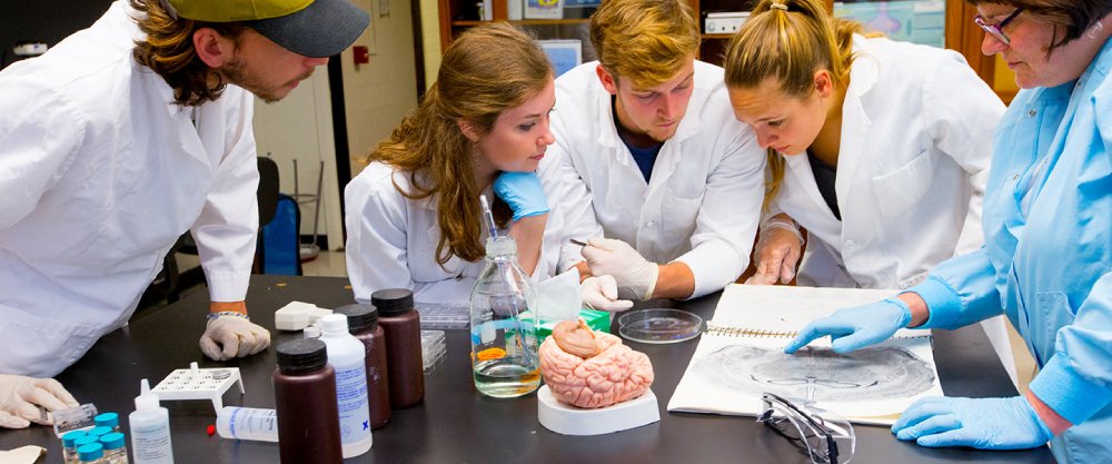 Top Colleges For Neuroscience Studies